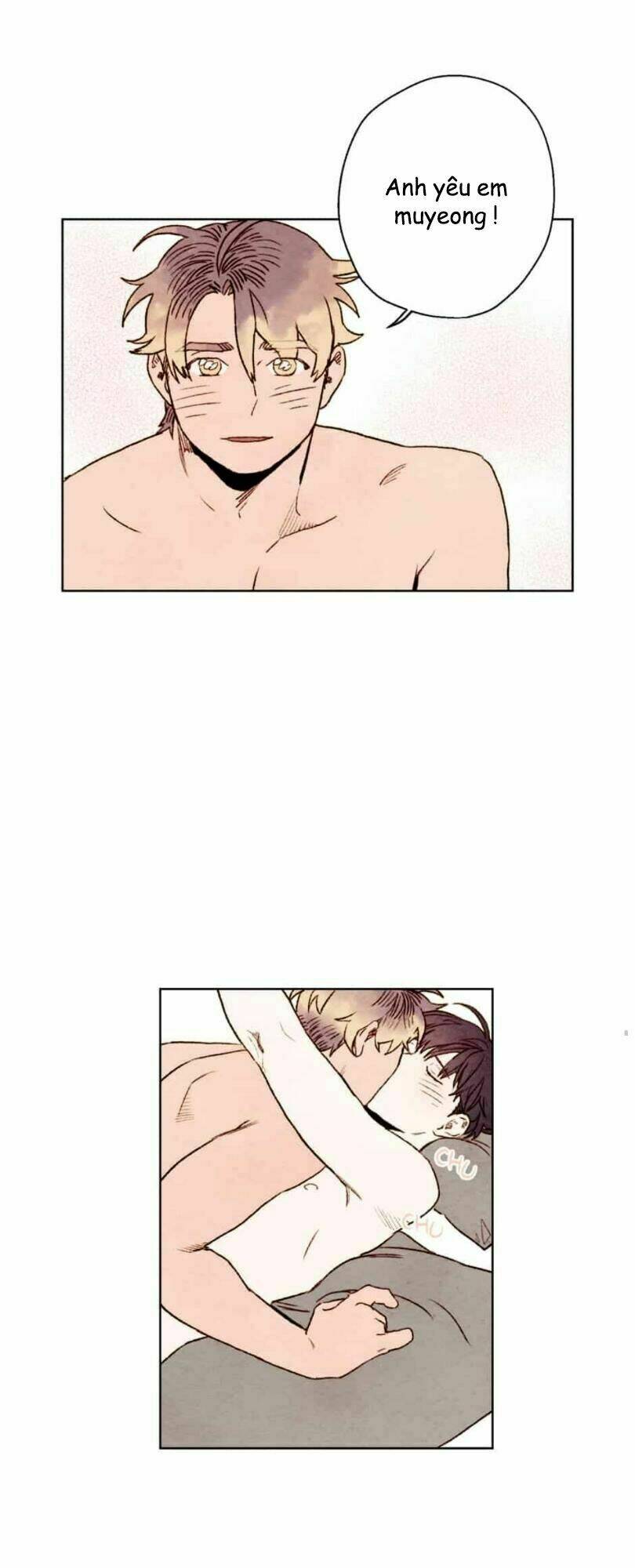 page_16.jpg