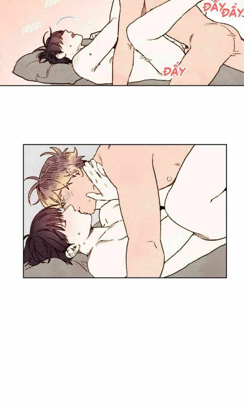 page_24.jpg