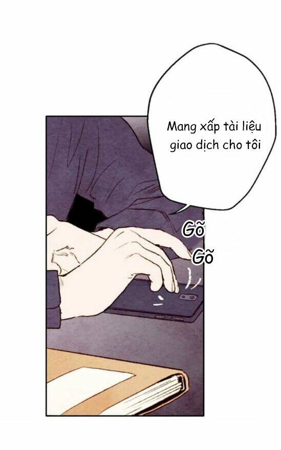 page_21.jpg