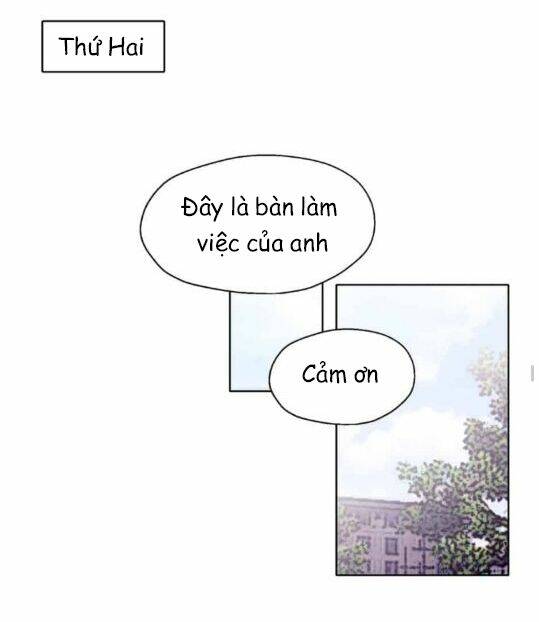 page_29.jpg