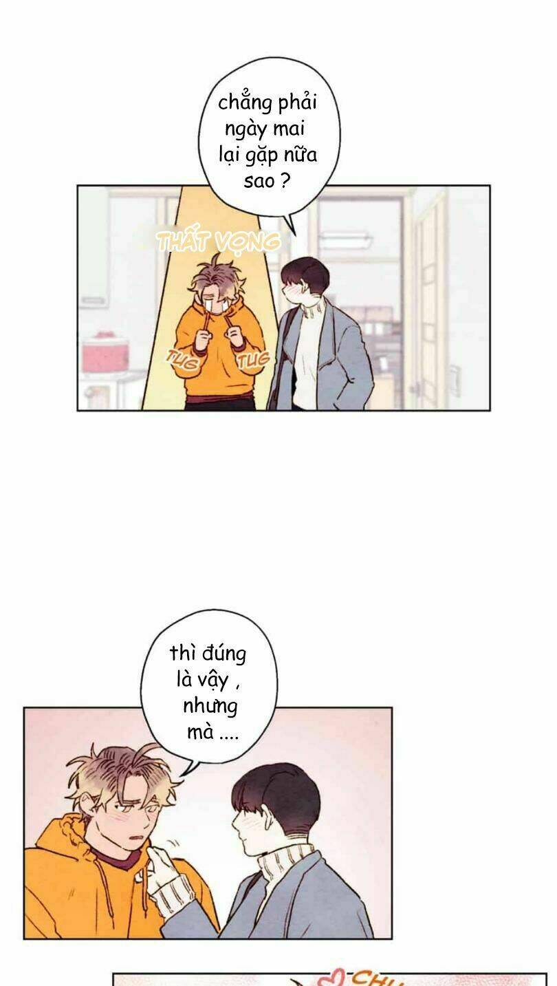 page_13.jpg