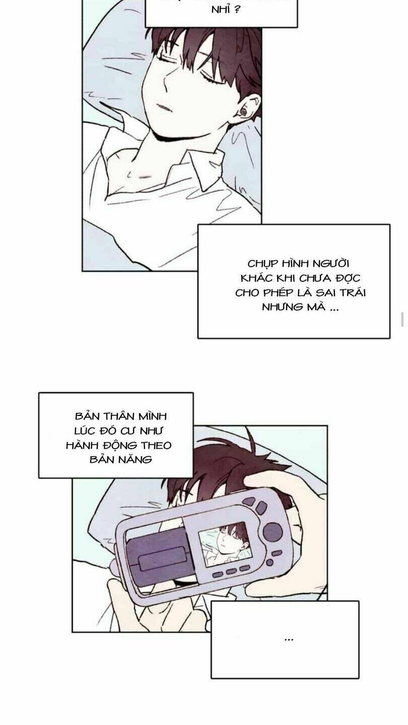 page_15.jpg