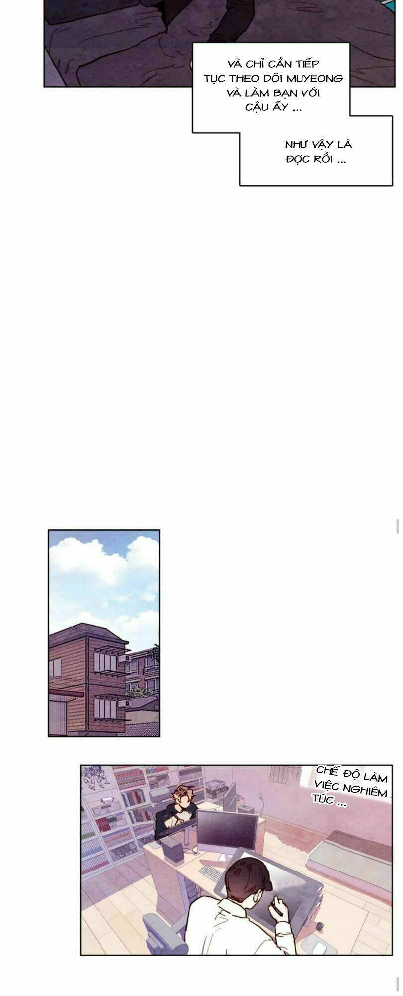 page_20.jpg