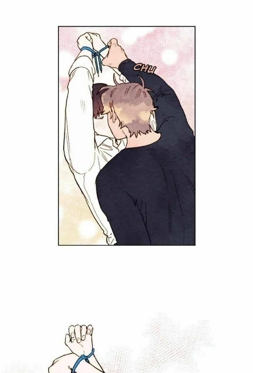 page_28.jpg