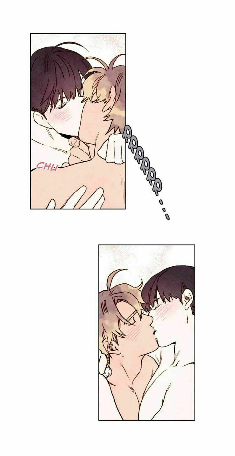 page_11.jpg