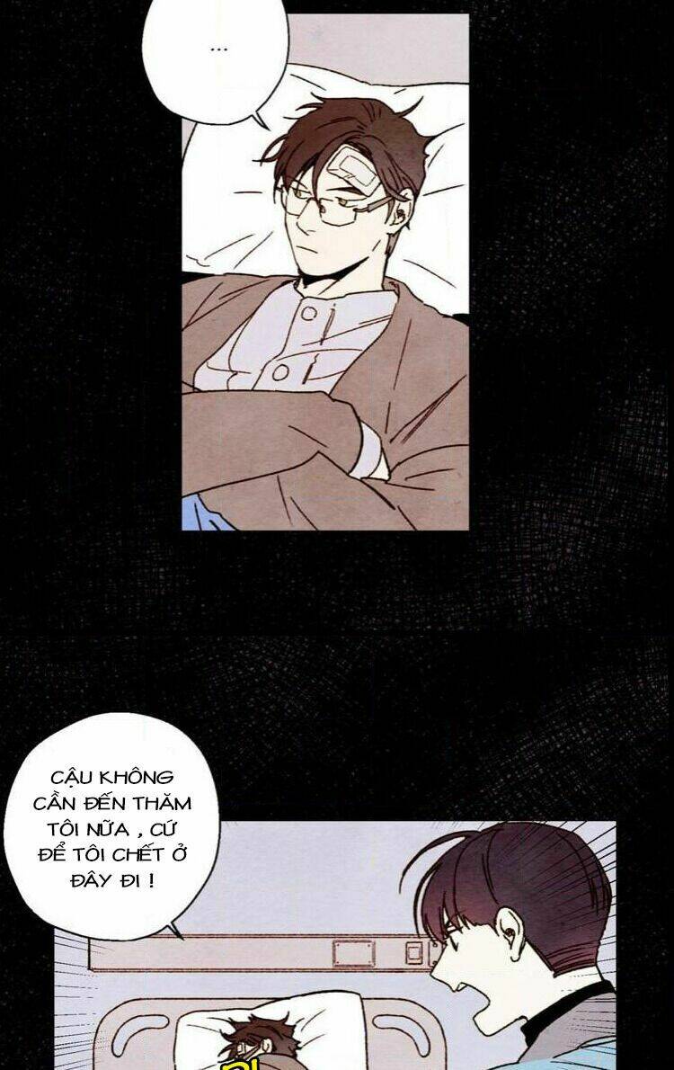 page_19.jpg