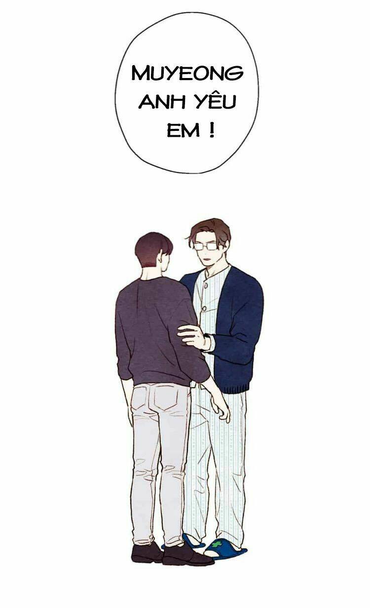 page_38.jpg