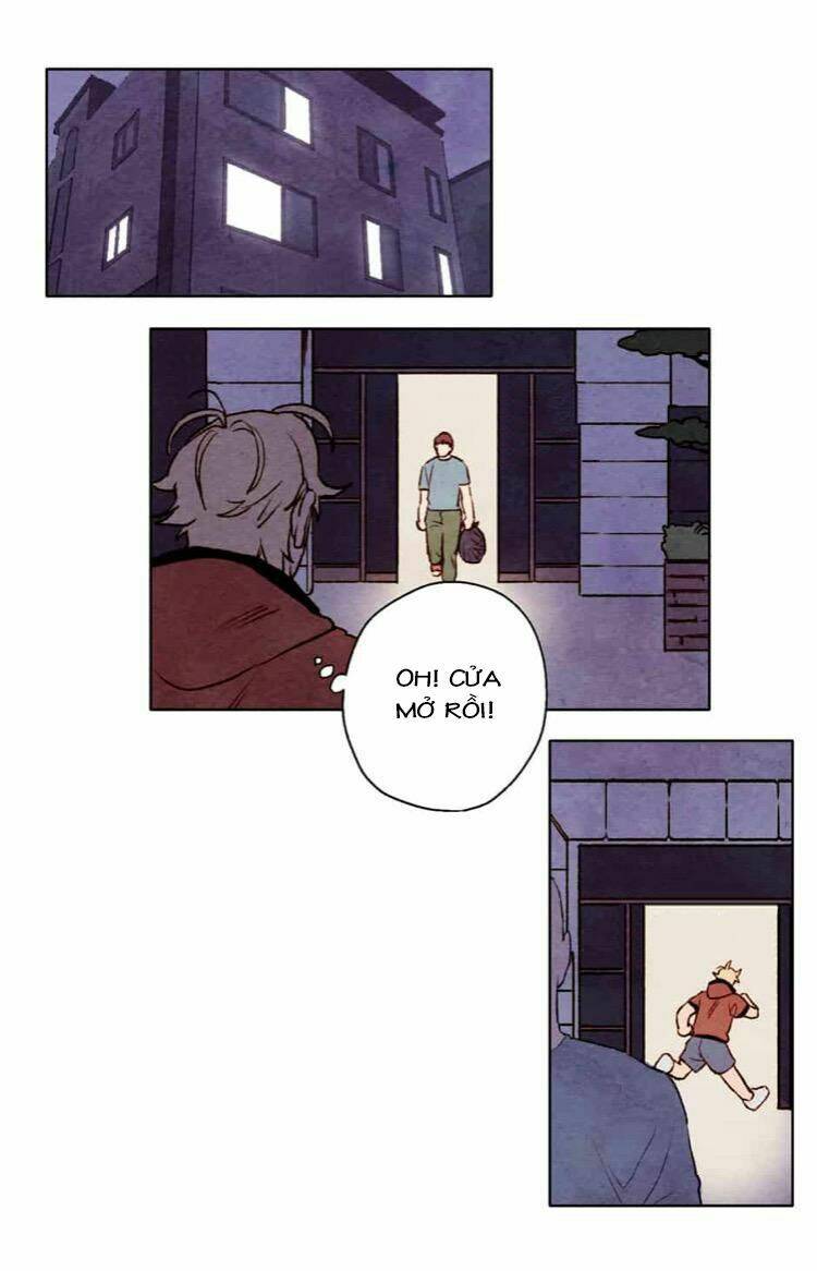 page_16.jpg