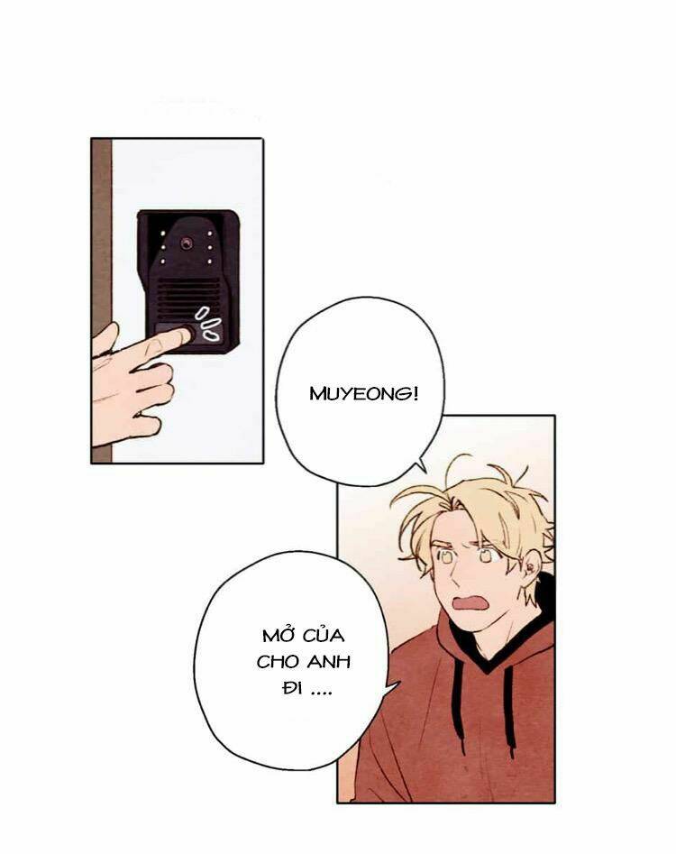 page_17.jpg