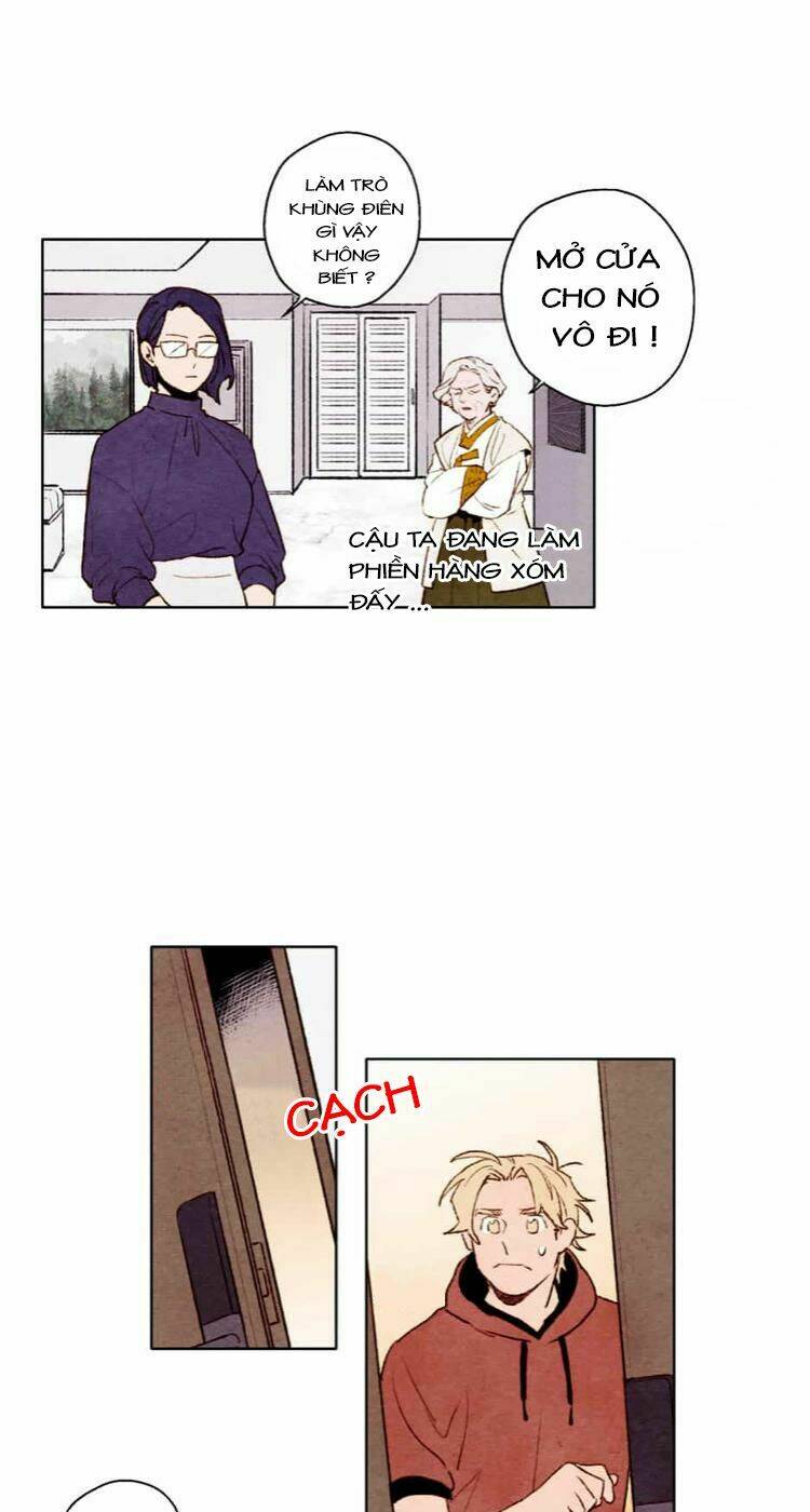 page_19.jpg