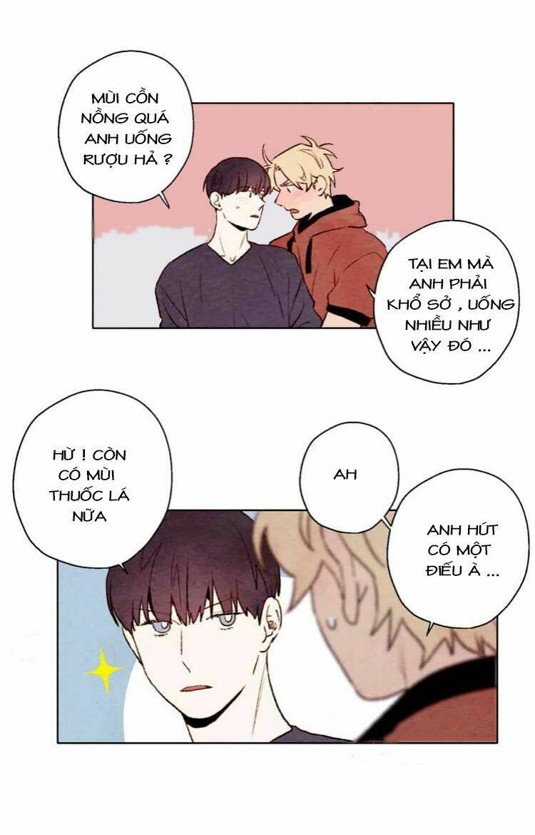 page_28.jpg