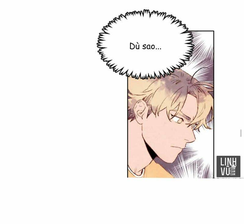 page_19.jpg