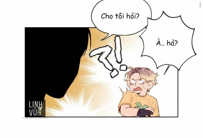 page_26.jpg