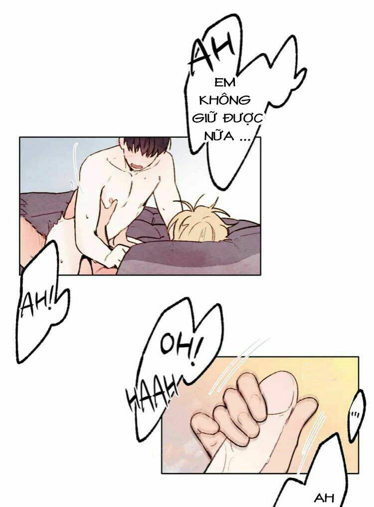 page_12.jpg