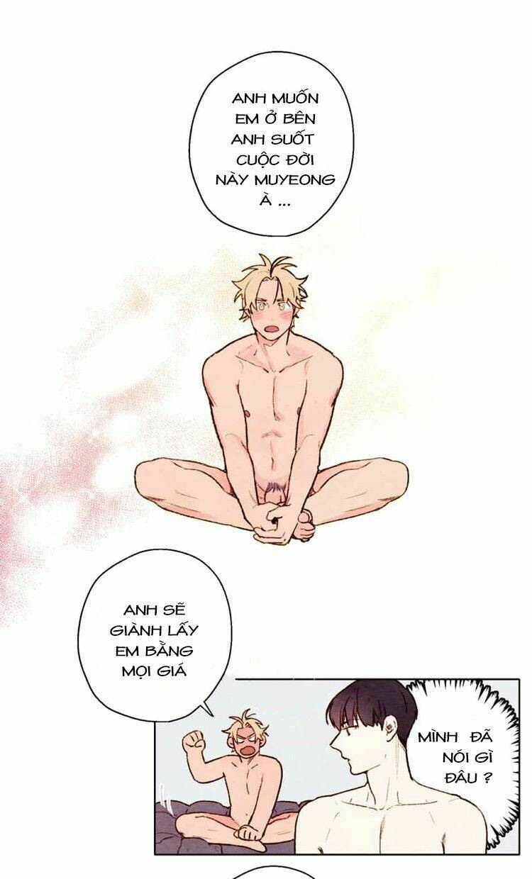 page_17.jpg