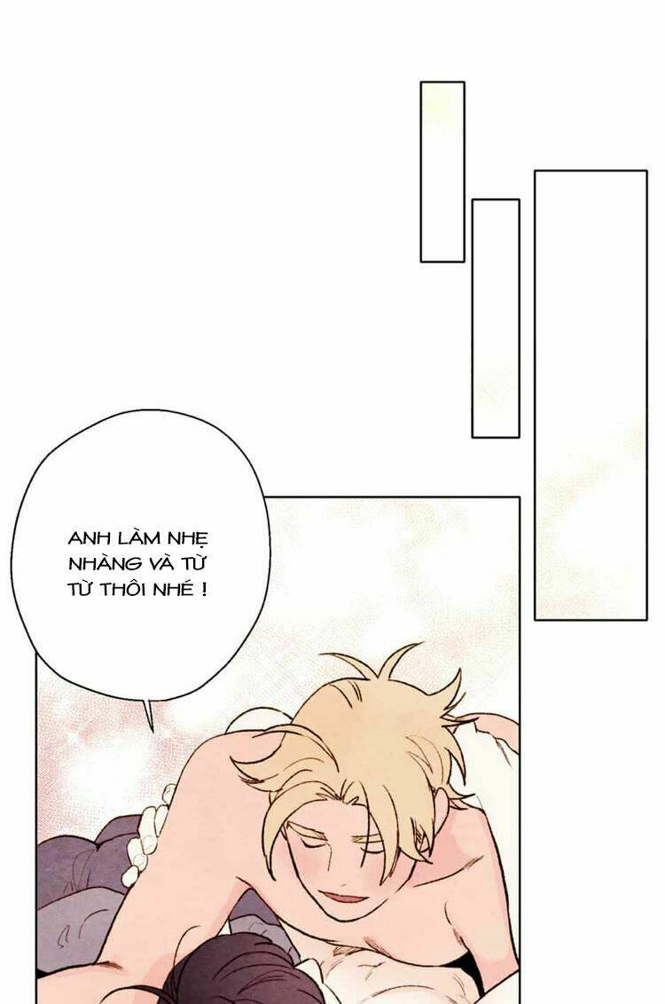 page_20.jpg