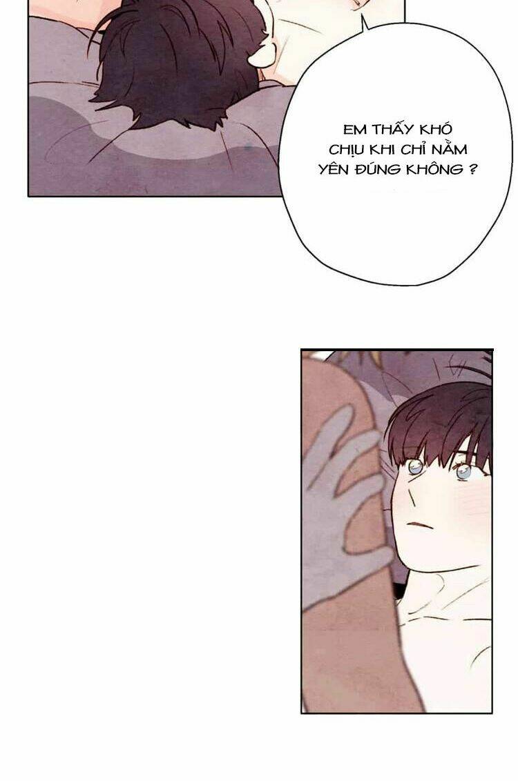 page_21.jpg