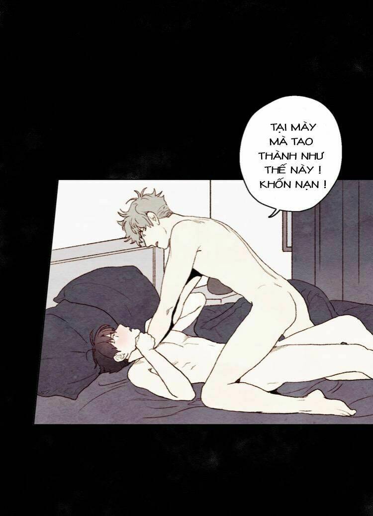 page_29.jpg