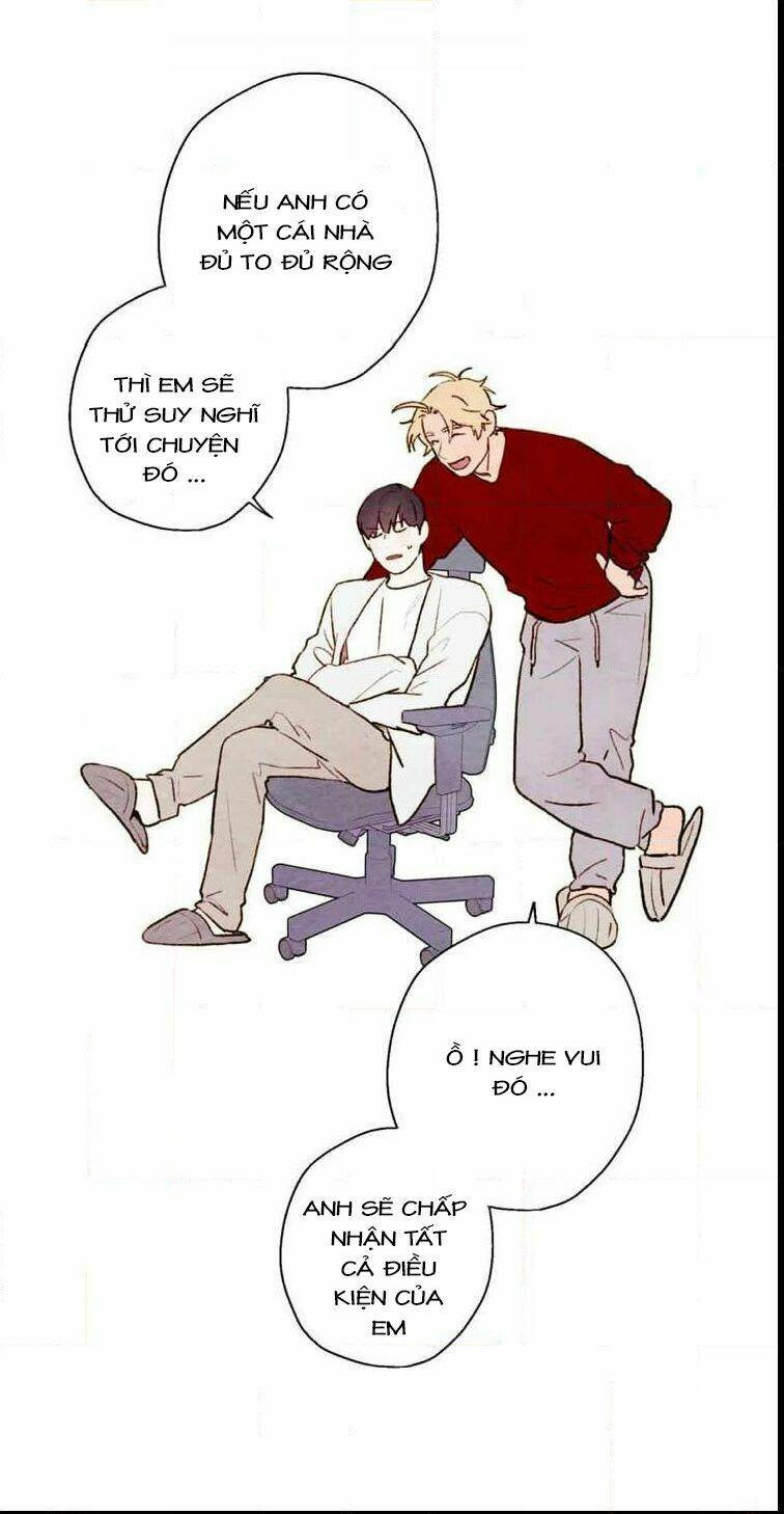 page_38.jpg