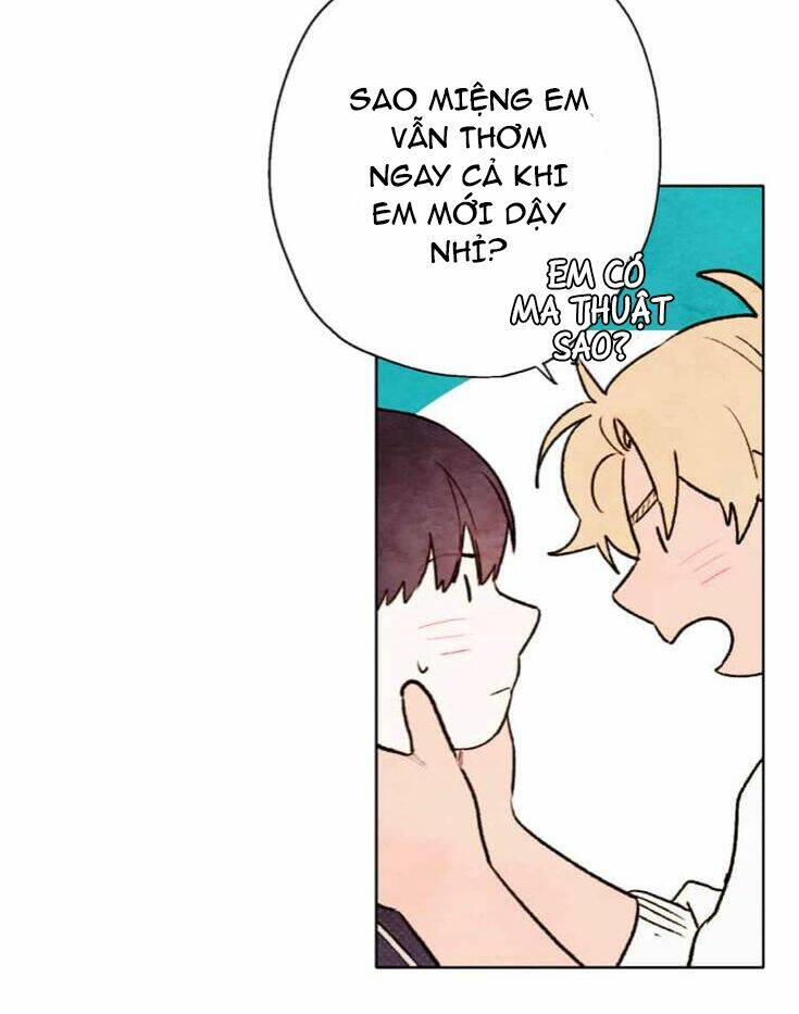 page_14.jpg
