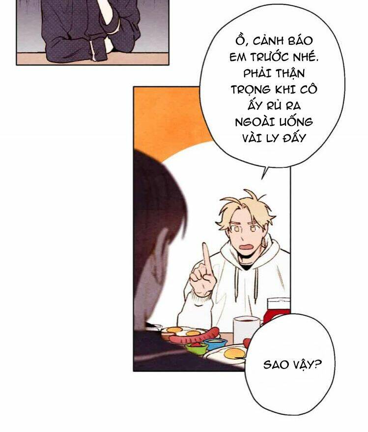 page_20.jpg