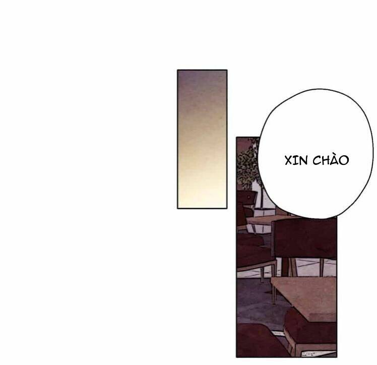 page_22.jpg