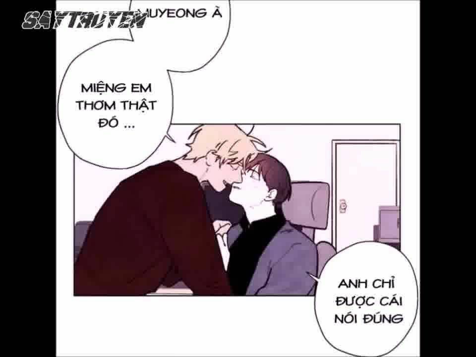 page_28.jpg