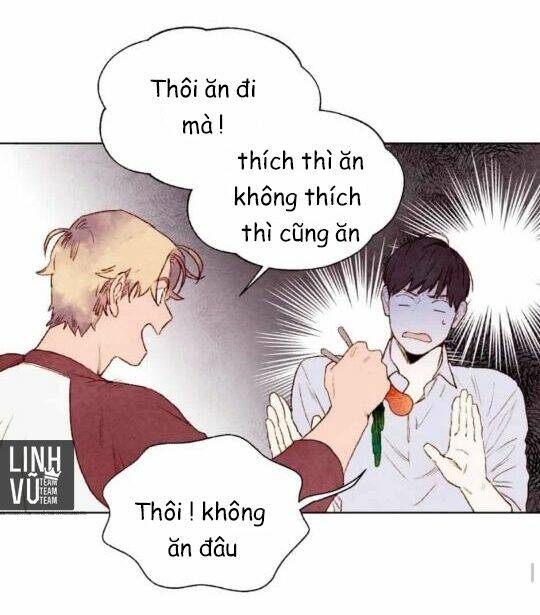 page_19.jpg