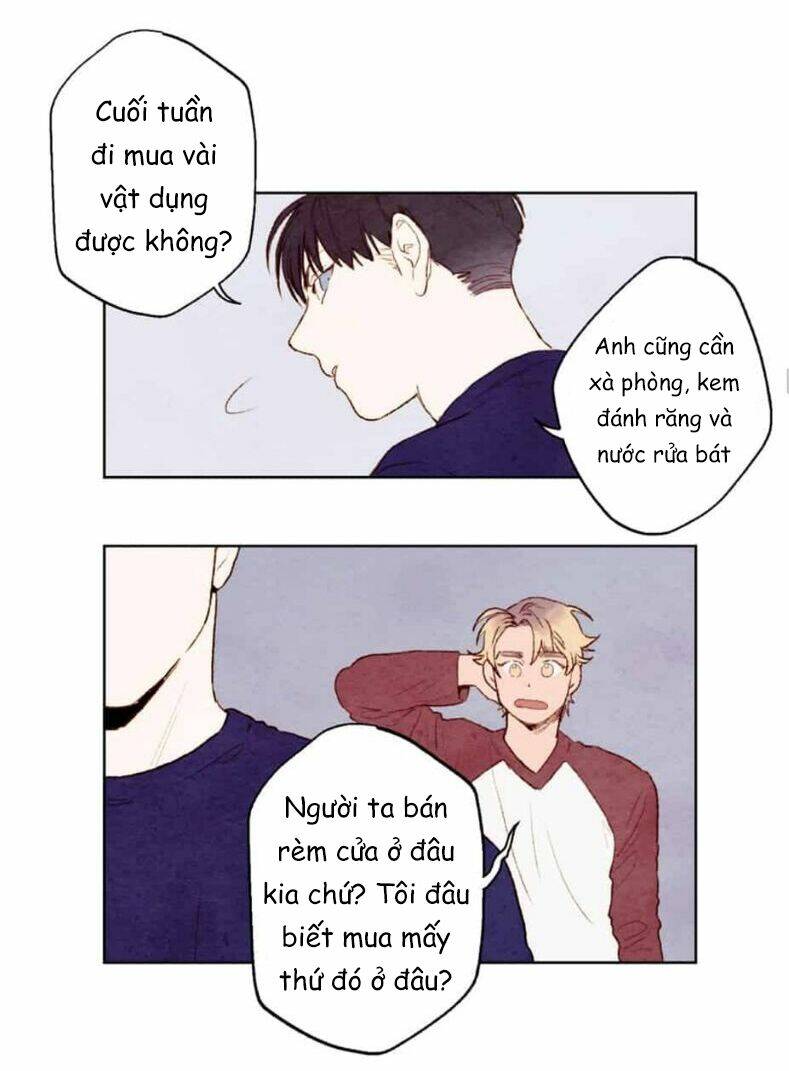 page_19.jpg