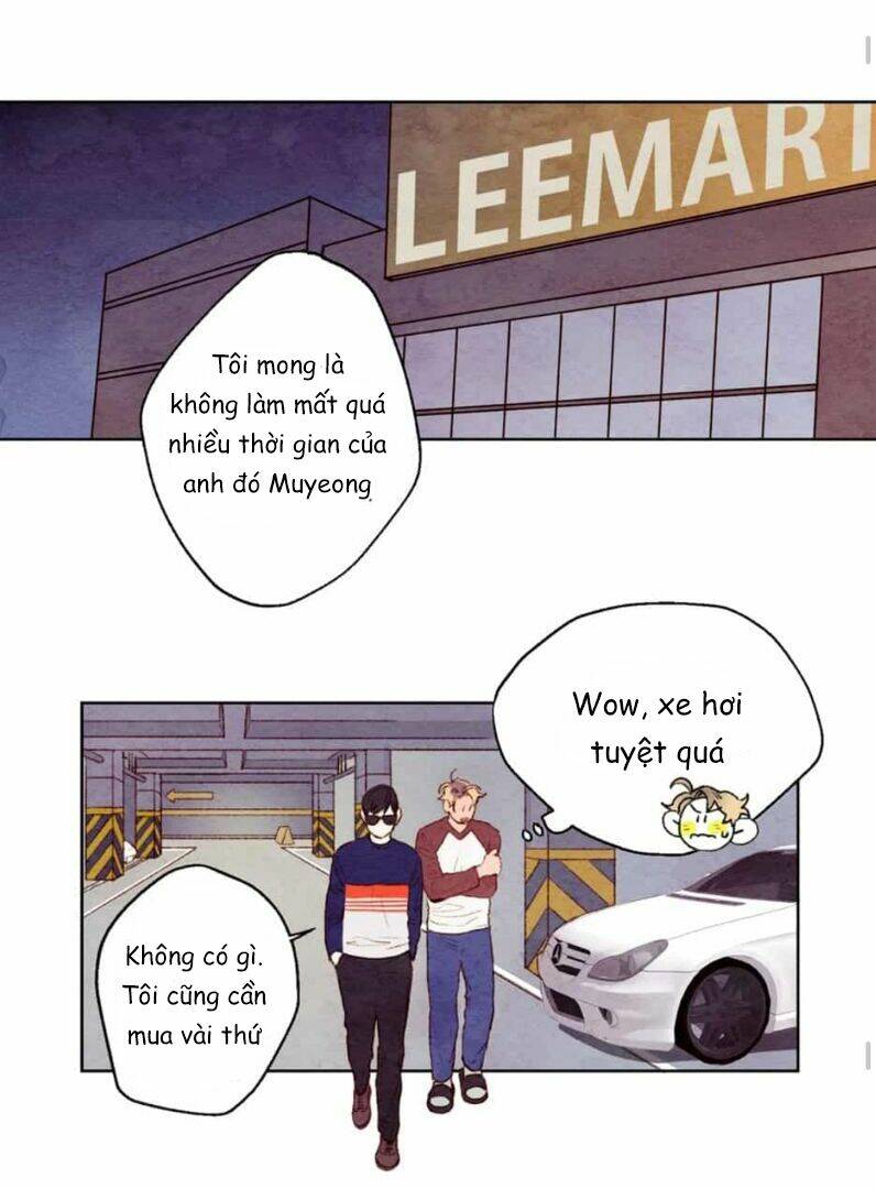 page_21.jpg