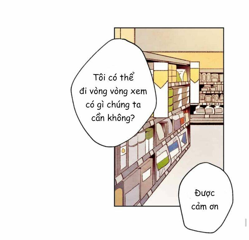 page_22.jpg