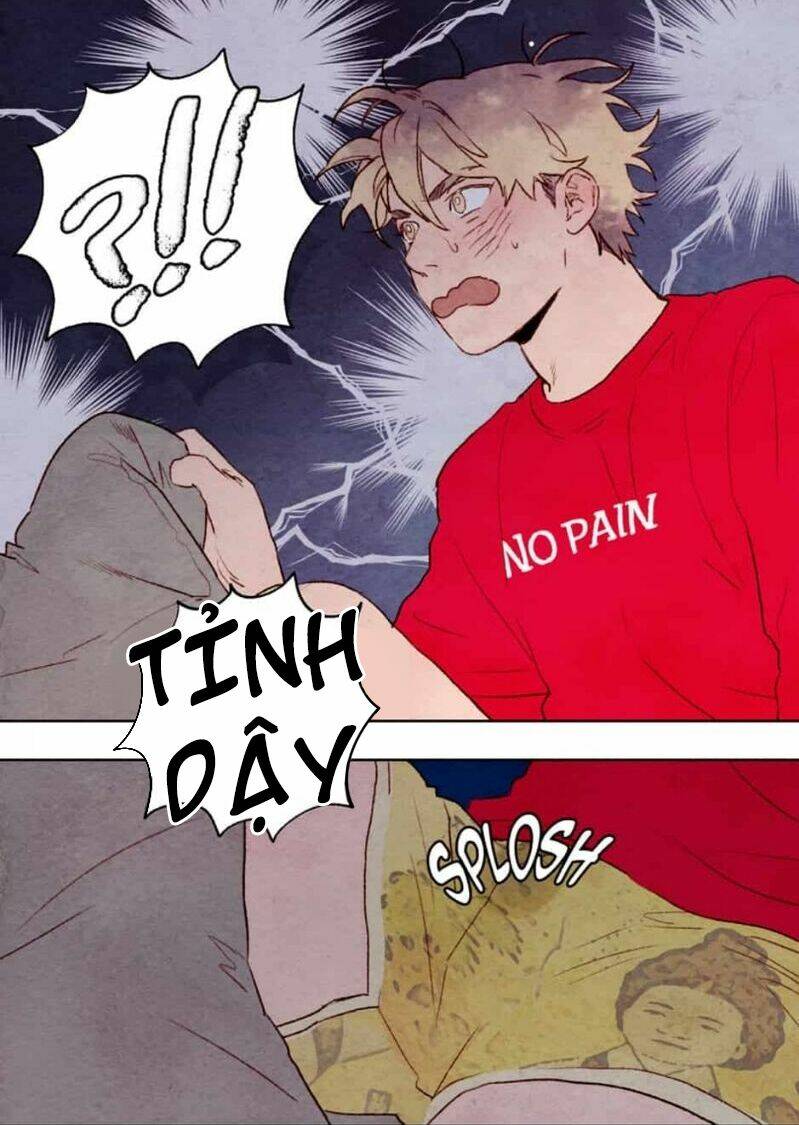 page_16.jpg