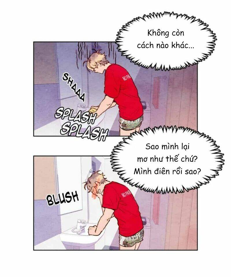 page_17.jpg