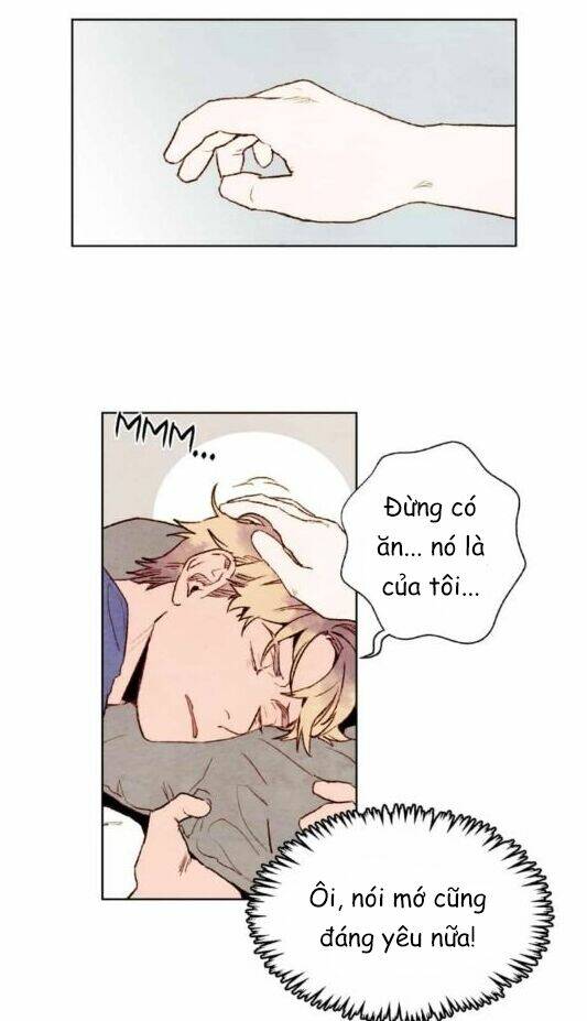 page_43.jpg