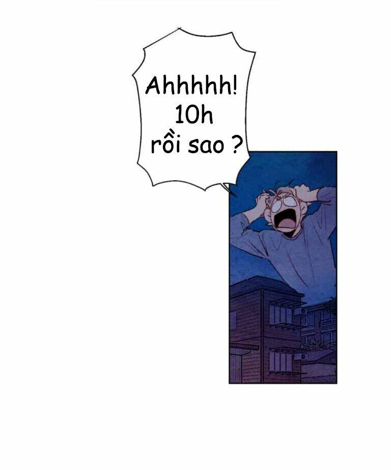 page_41.jpg