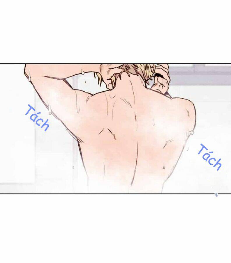 page_32.jpg