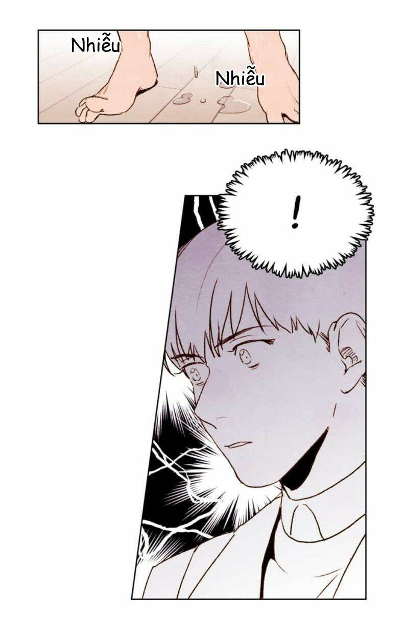 page_47.jpg