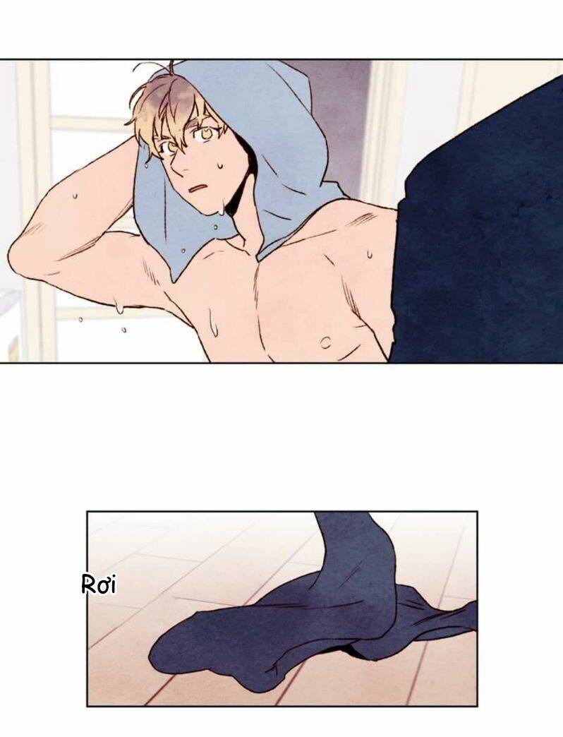 page_48.jpg