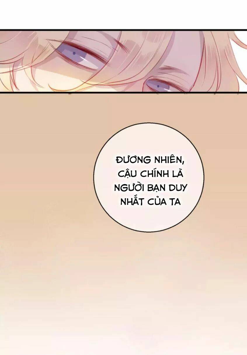 page_45.jpg