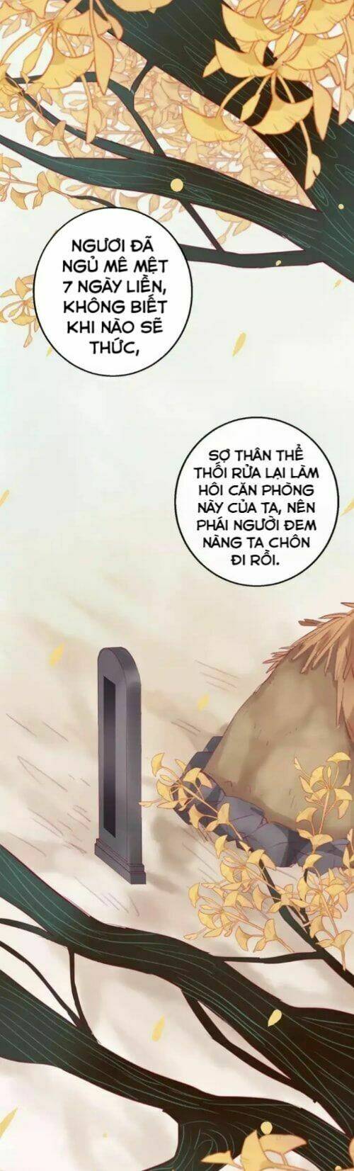 page_24.jpg