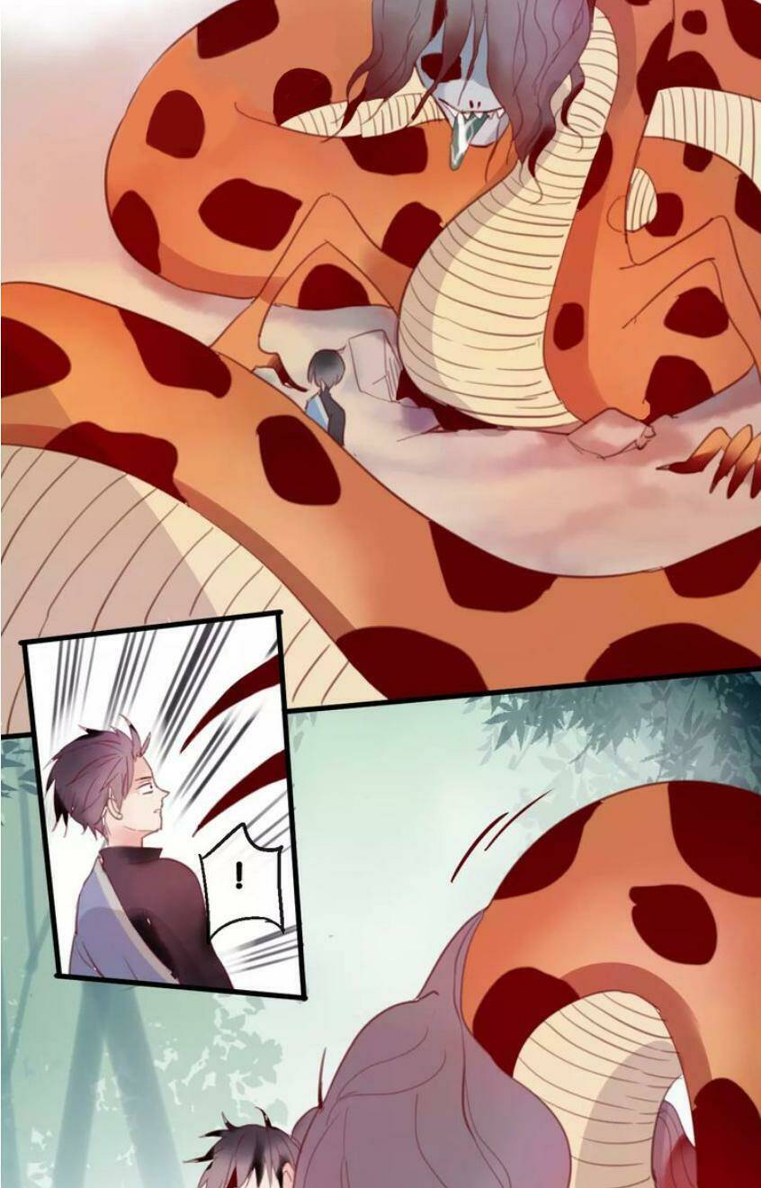 page_21.jpg