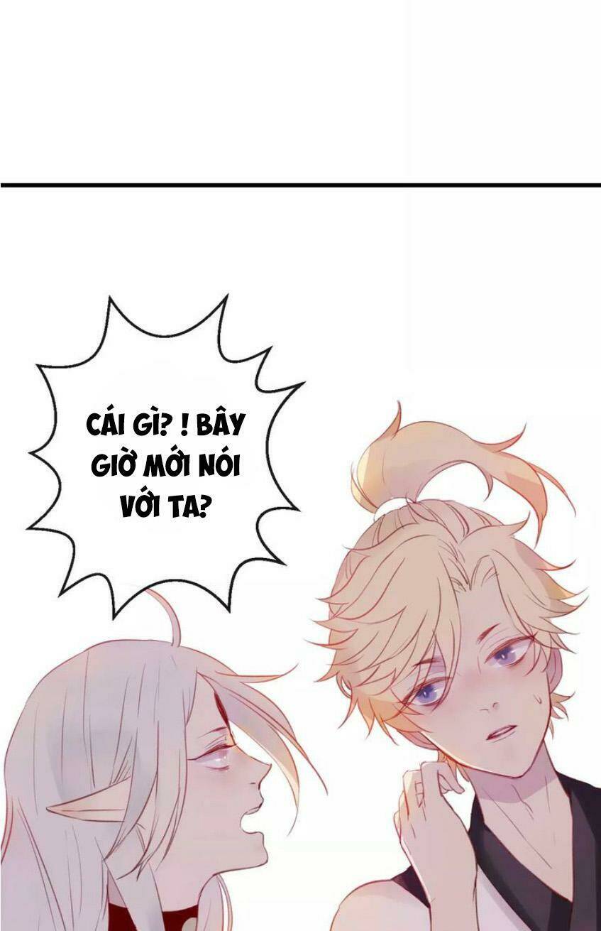 page_55.jpg