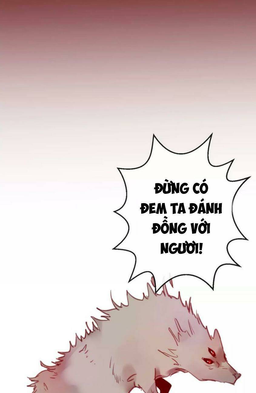 page_38.jpg