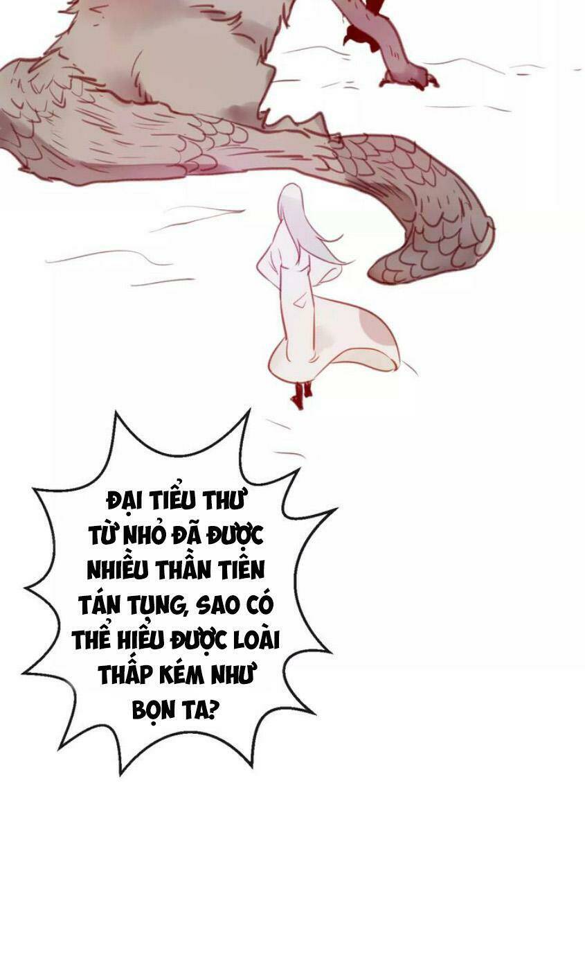 page_39.jpg