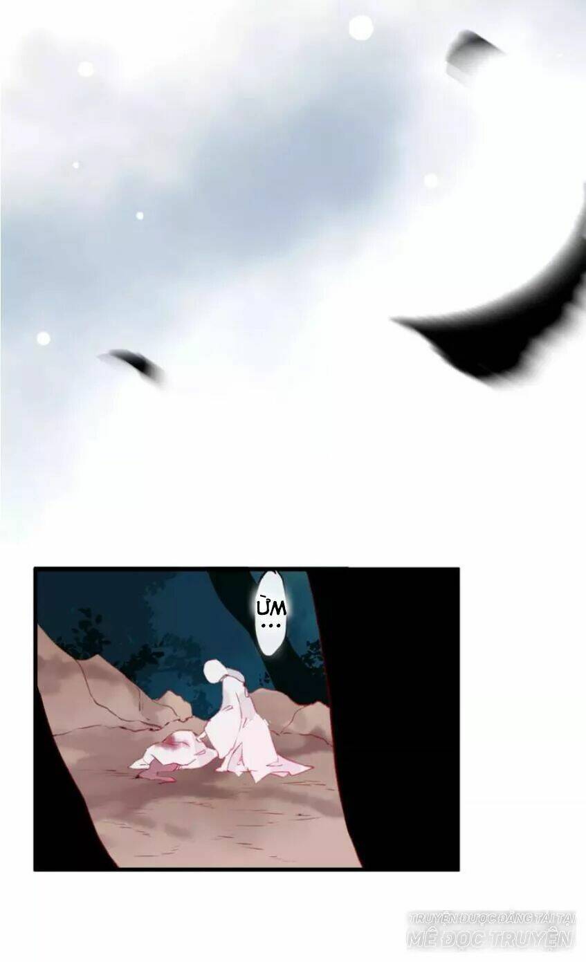 page_41.jpg