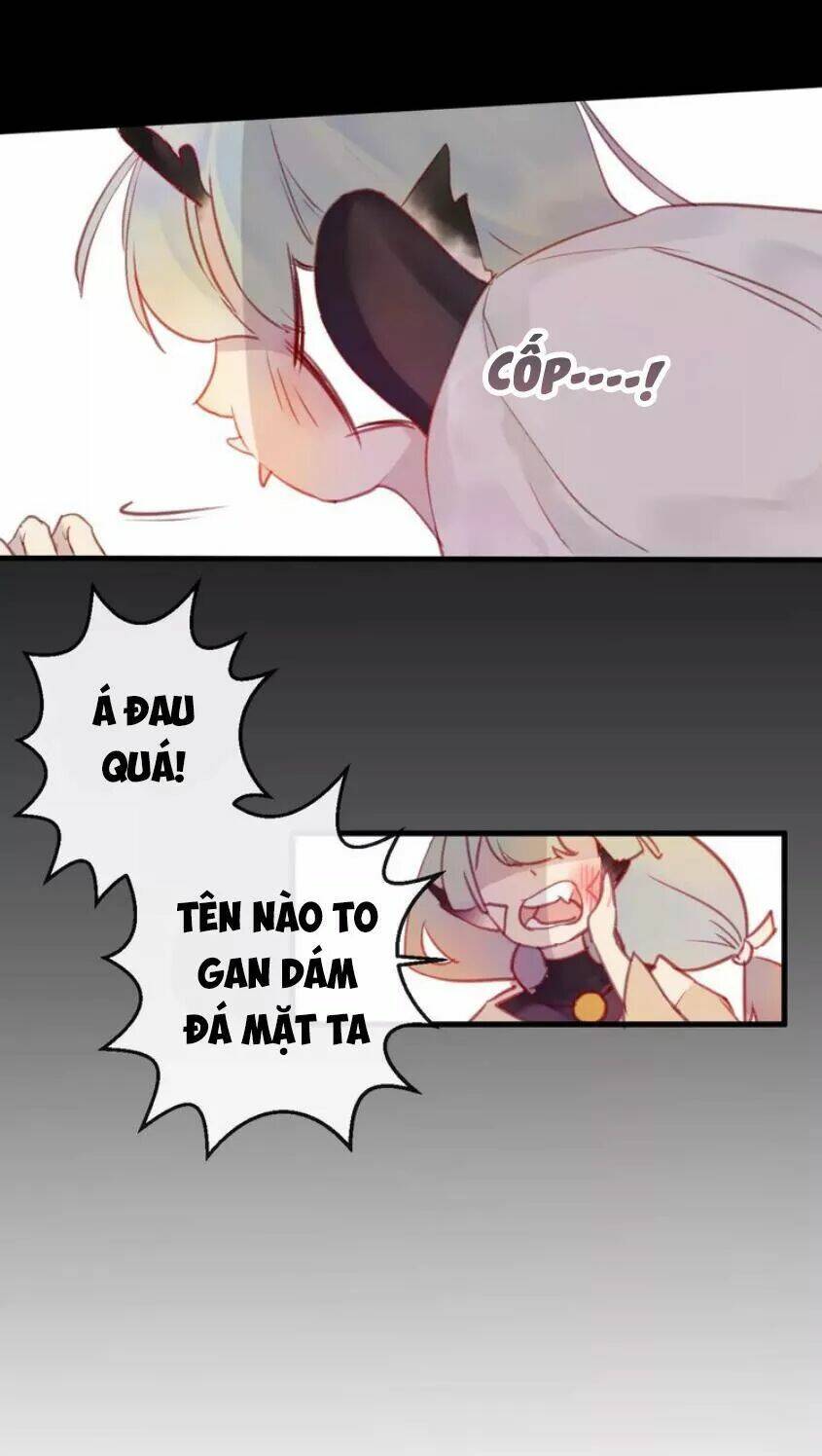 page_29.jpg
