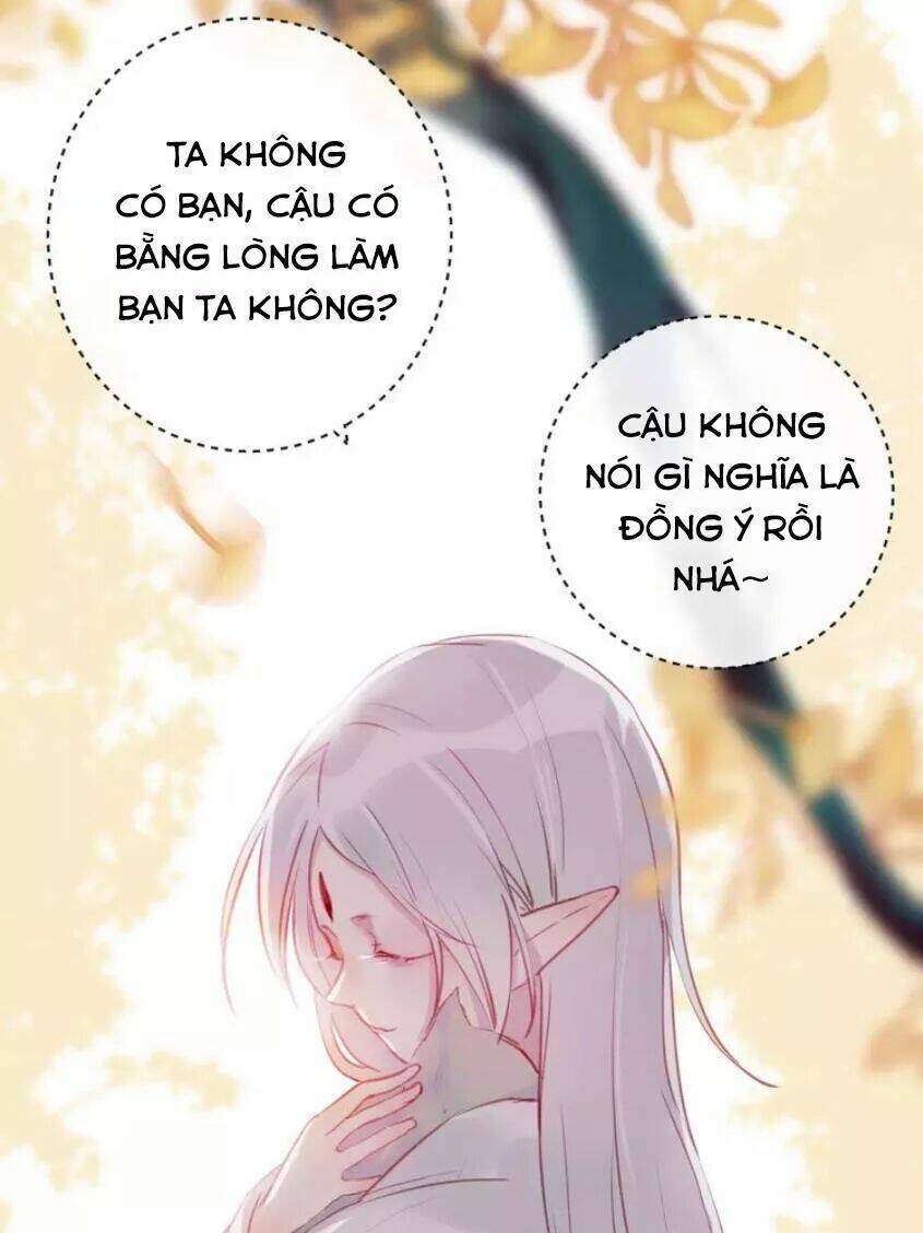 page_40.jpg