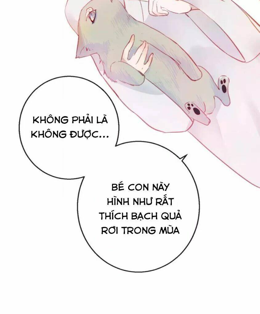 page_45.jpg