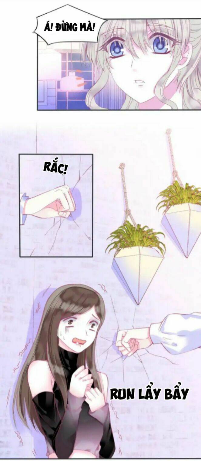 page_20.jpg