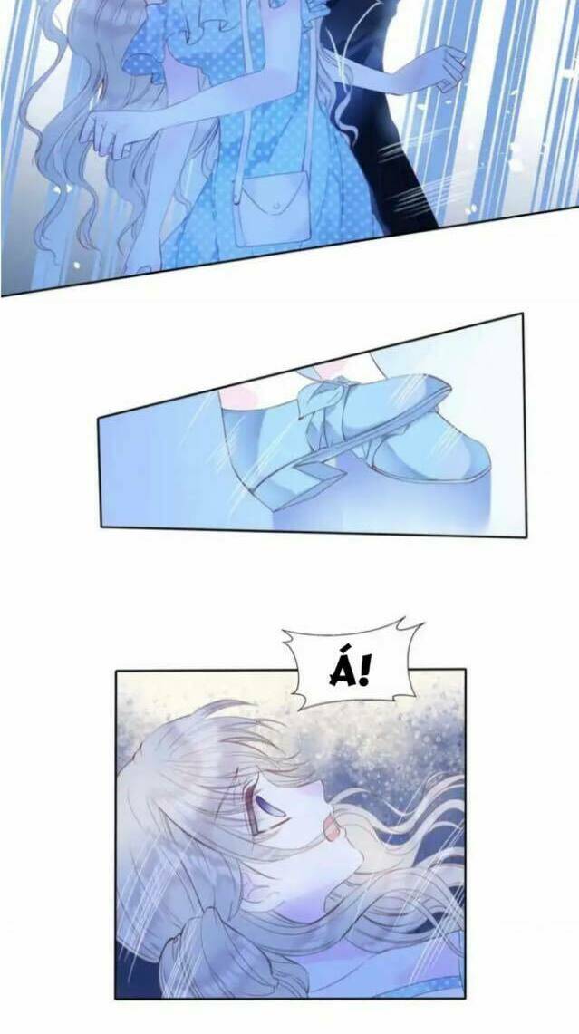page_19.jpg